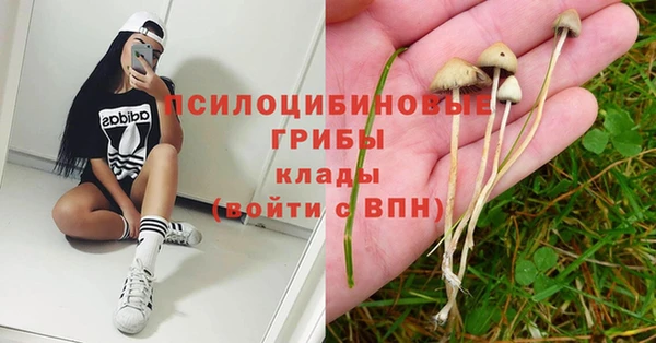 эйфоретик Нея