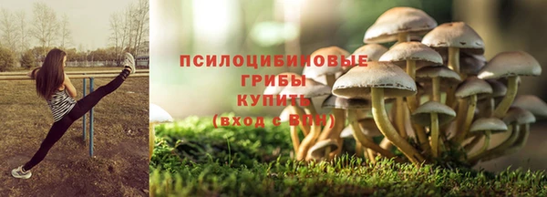 тгк Нефтекумск