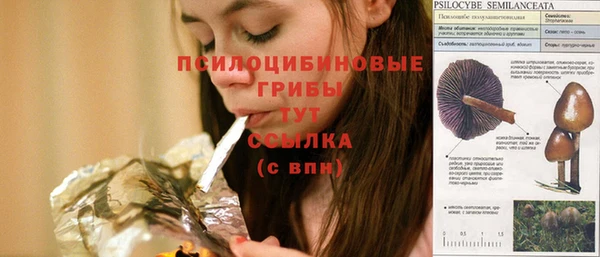 тгк Нефтекумск