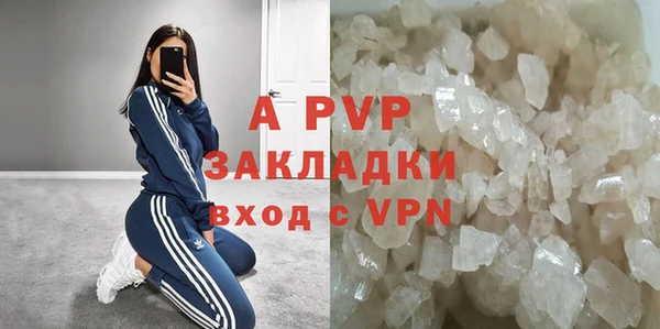 эйфоретик Нея