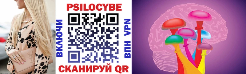 Галлюциногенные грибы Psilocybe  Домодедово 