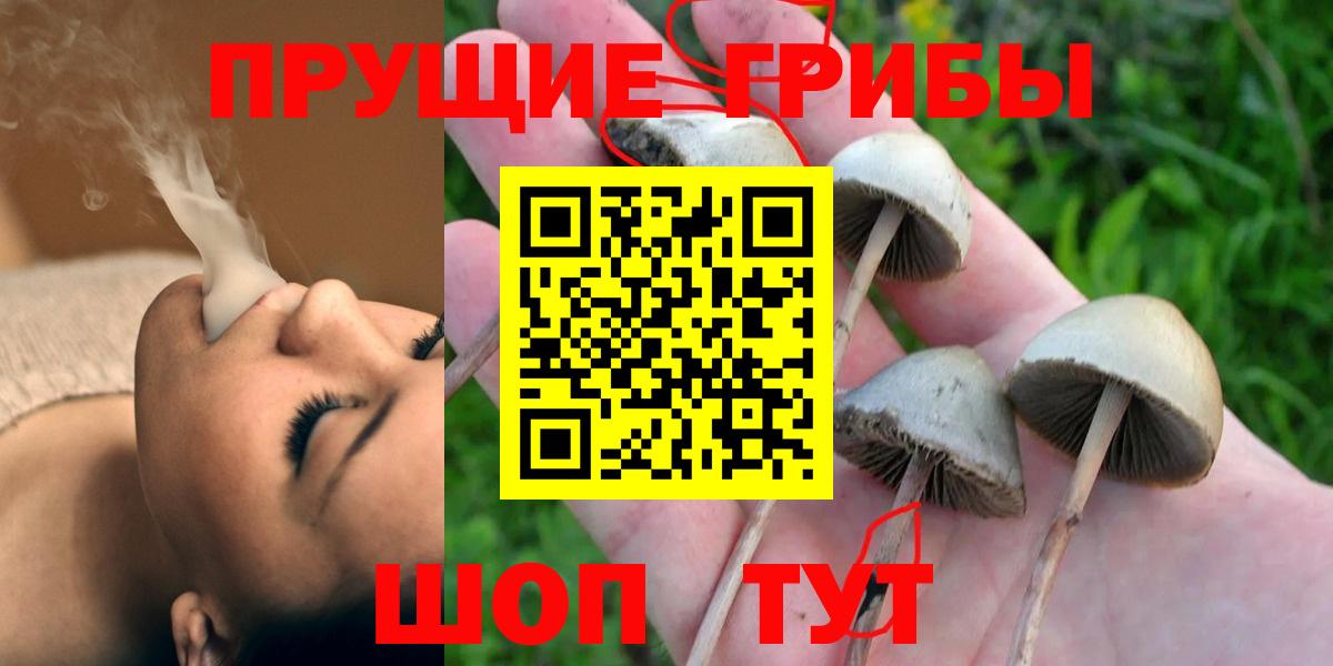 Домодедово  Псилоцибиновые грибы ЛСД  Псилоцибиновые грибы Cubensis  Вход с VPN 